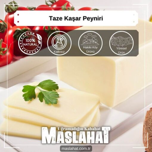 Taze Kaşar Peyniri-1