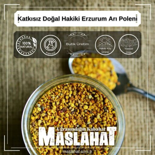 Katkısız Doğal Hakiki Erzurum Arı Poleni-2