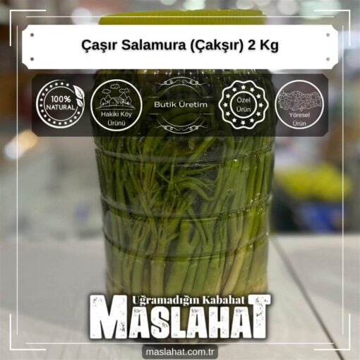 Çaşır Salamura (Çakşır) 2 Kg-1