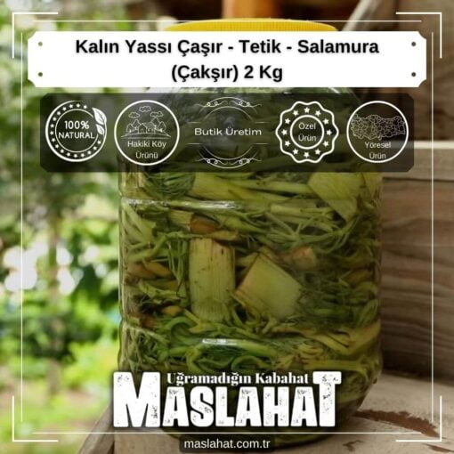 Kalın Yassı Çaşır - Tetik - Salamura (Çakşır) 2 Kg-1